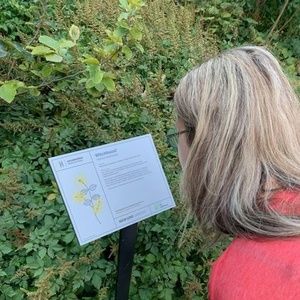 Meet your Posher, Jenny